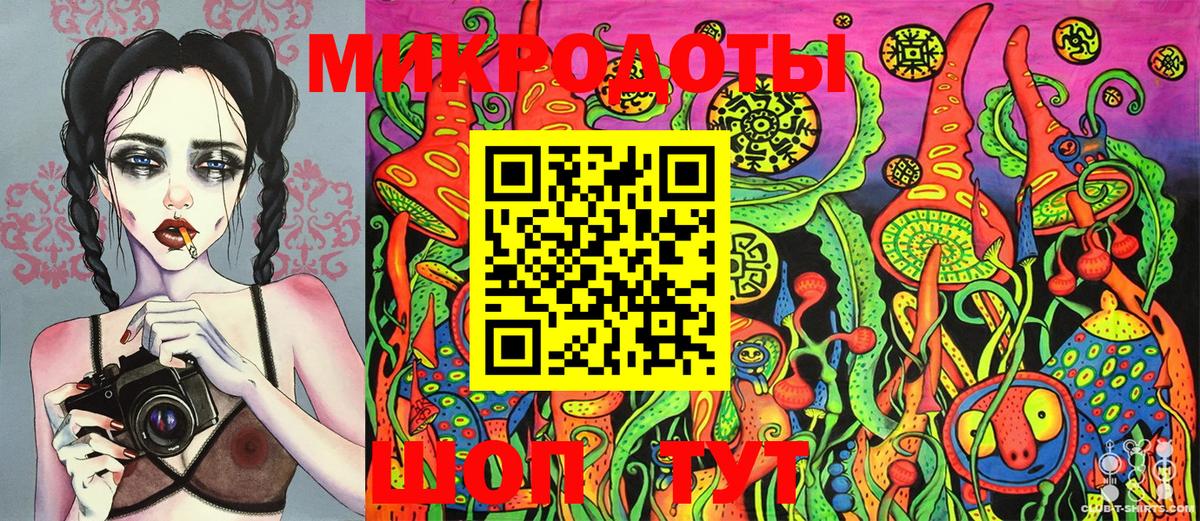 Галлюциногенные грибы Psilocybe Зерноград