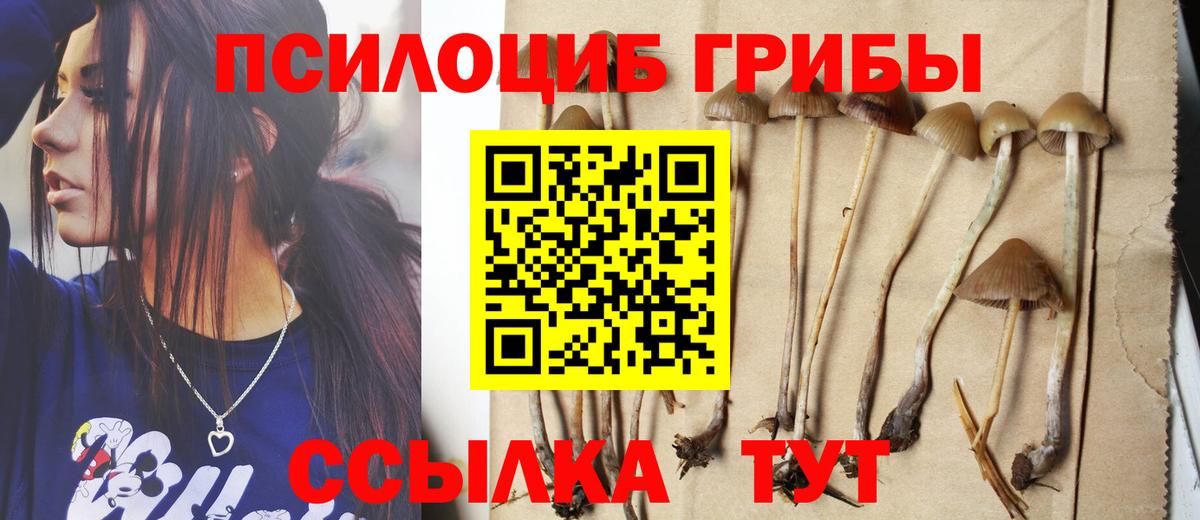 Зерноград  Псилоцибиновые грибы мицелий  Вход с VPN  Галлюциногенные грибы GOLDEN TEACHER 